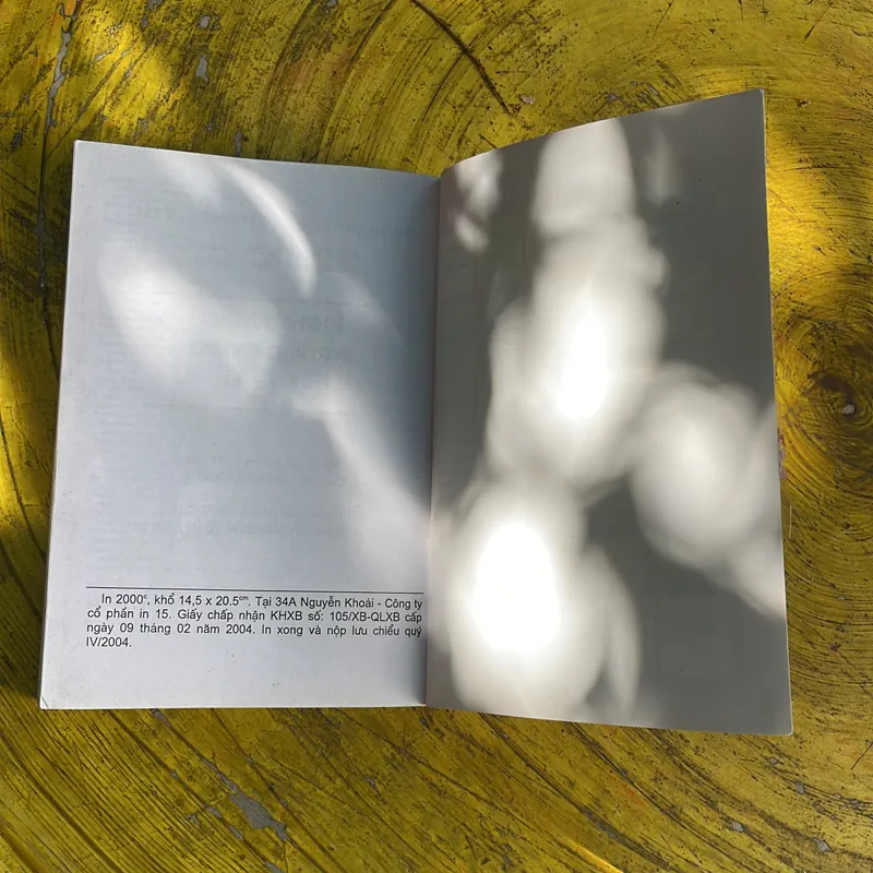 TỪ ĐÚNG & TỪ SAI RIGHT WORD WRONG- THY HẢI 696129