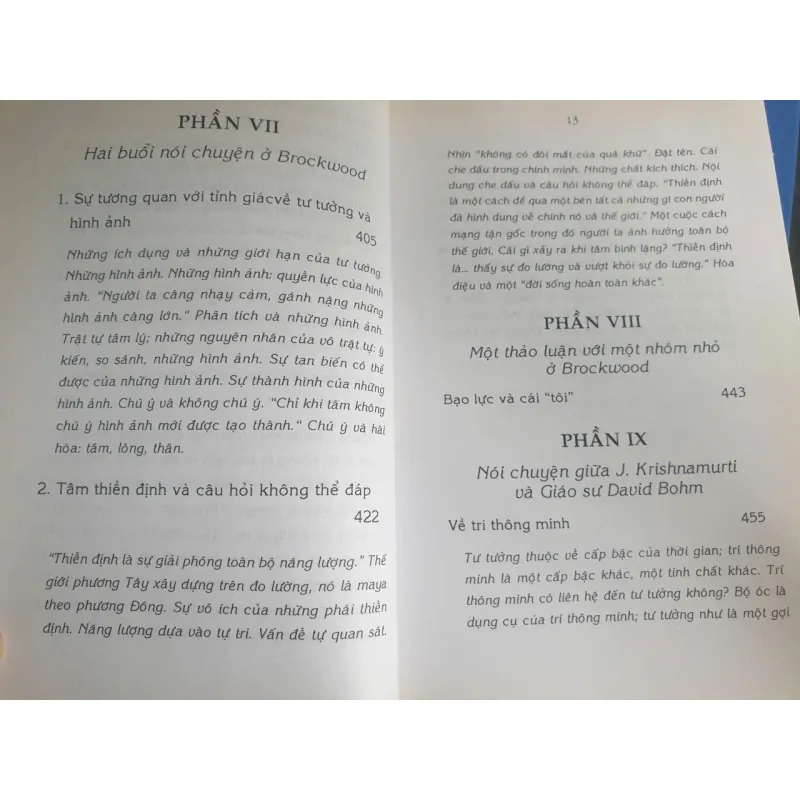 Đánh Thức Trí Thông Minh - Krishnamurti 718765