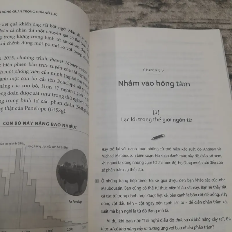 Lựa chọn đúng quan trọng hơn nỗ lực. 6 bước ra quyết định hoàn hảo. Anna Duke 643998