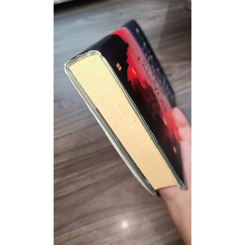 The Year I Met You
by Cecelia Ahern 723239