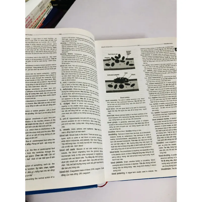 TỪ ĐIỂN Y HỌC ANH - VIỆT   604743