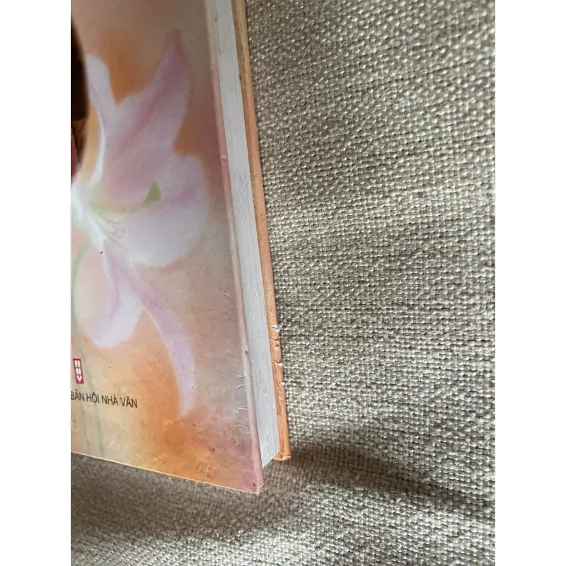 Đàn Bà TRONG TRUYỆN 1028257