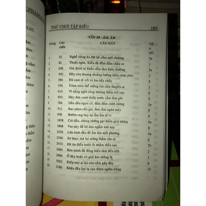 Thú chơi tập Kiều - Phạm Đan Quế  1029665