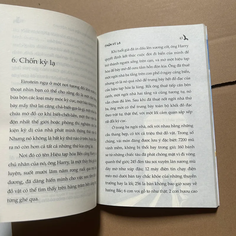 Chuyện con mèo dạy hải âu bay 603115