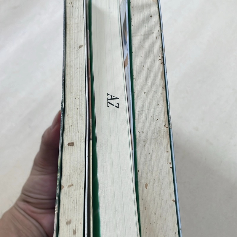 Xin chào ngày xưa ấy - Bát Nguyệt Trường An 524996