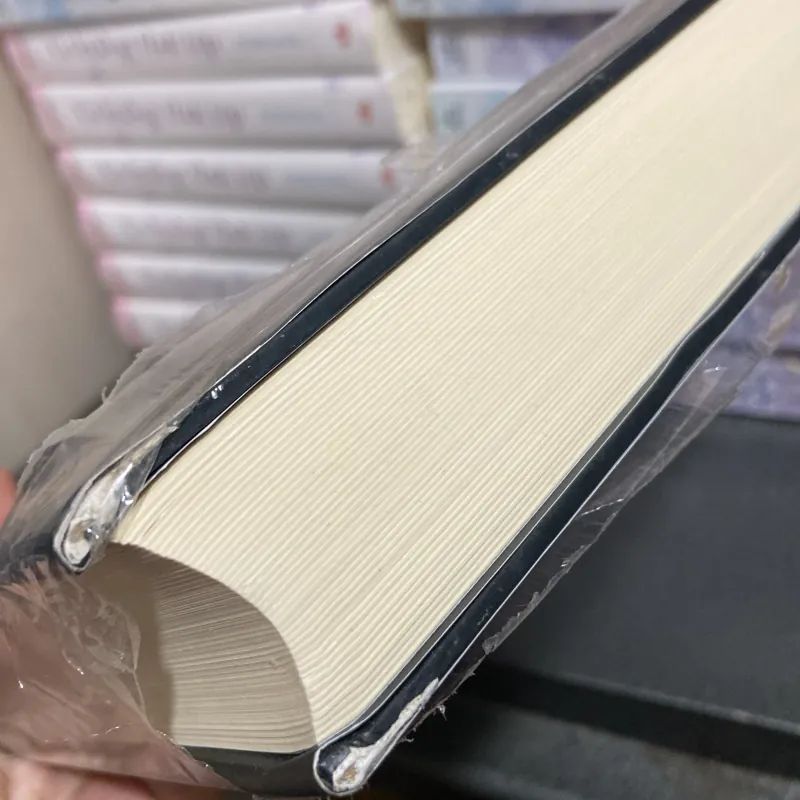 (Văn học kinh điển) - Nhà thờ đức bà Paris - Victor Hugo 1005083