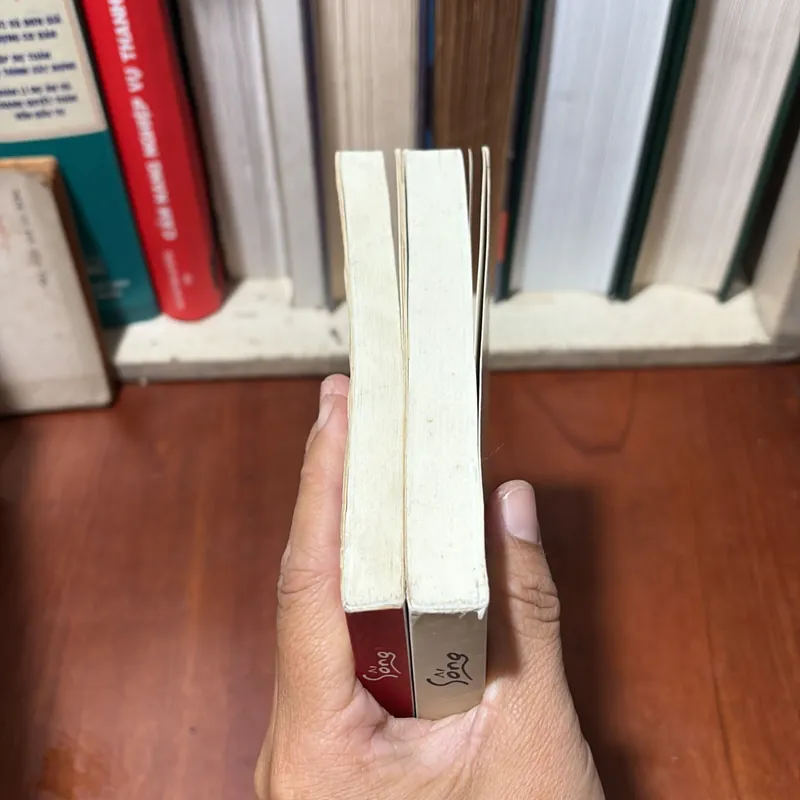 II Tủ Sách Khuê Văn _ Tự Lực Văn Đoàn: Nửa Chừng Xuân - Khái Hưng & Đoạn Tuyệt - Nhất Linh 721056