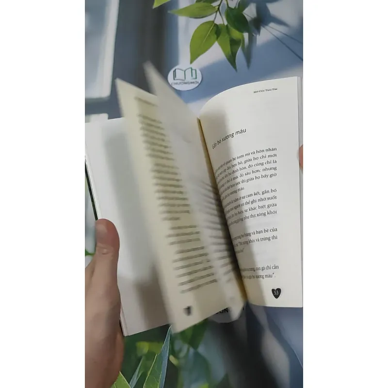 Mở Cửa Trái Tim - Ajahn Brahm 961161