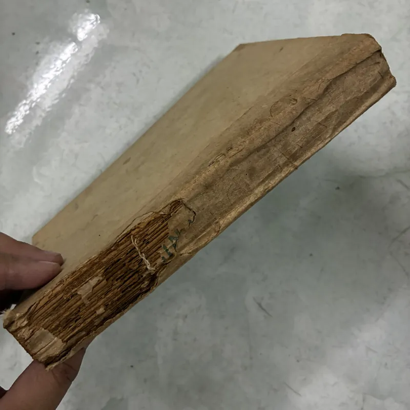 Nghìn lẻ một đêm Tập 7 1026599