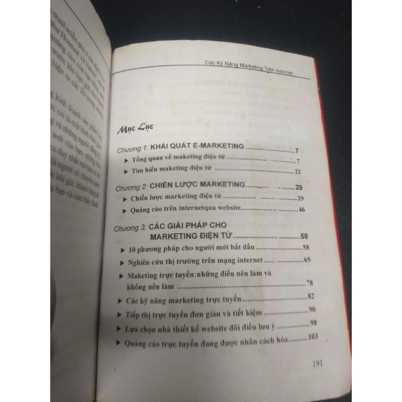 Các kỹ năng marketing trên internet Nguyễn Trung Toàn 2007 mới 80% ố nhẹ HCM0106 marketing 914486