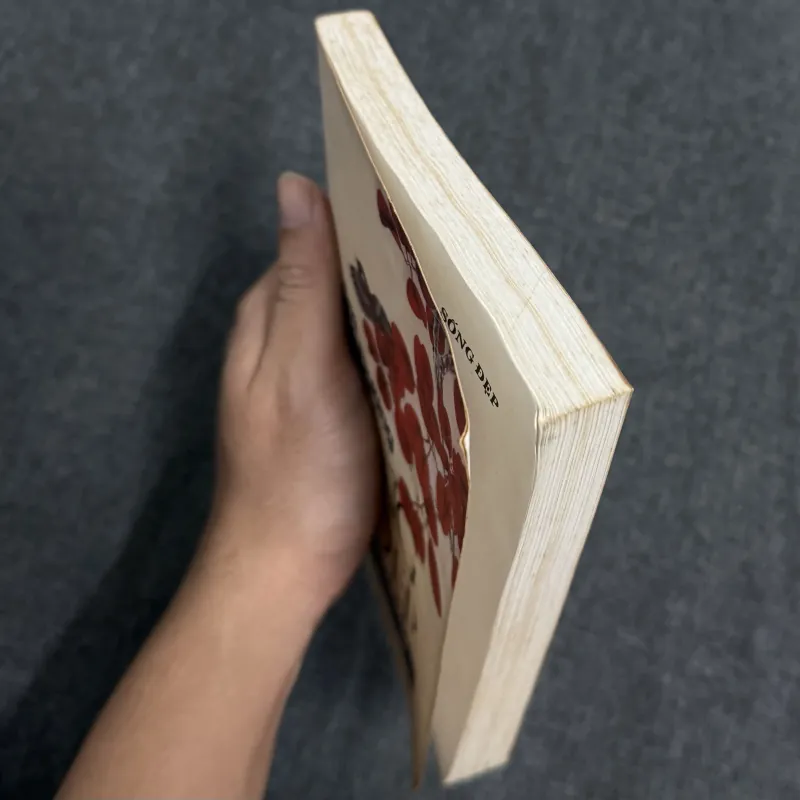 Sống đẹp - Lâm Ngữ Đường 907621