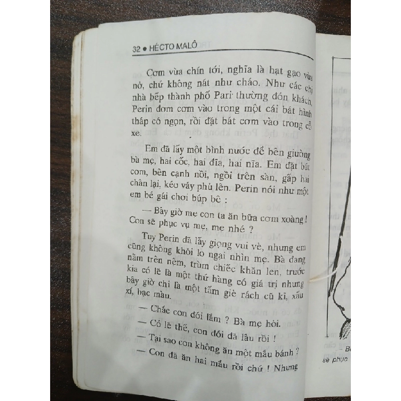 Trọng tài gà đình 549578