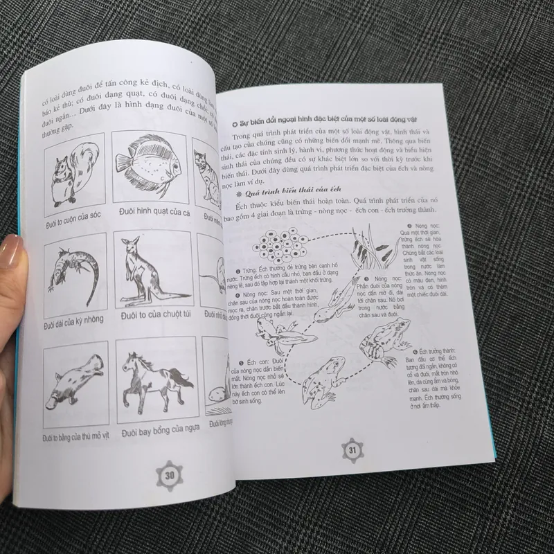 Vẽ truyện tranh phong cách Nhật Bản: Tạo hình nhân vật & bối cảnh trong truyện tranh 564726