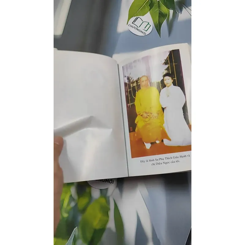 Kinh Nghiệm Niệm Phật Và Những Chuyện Luân Hồi - Cư Sĩ Diệu Âm - Diệu Ngộ 776139