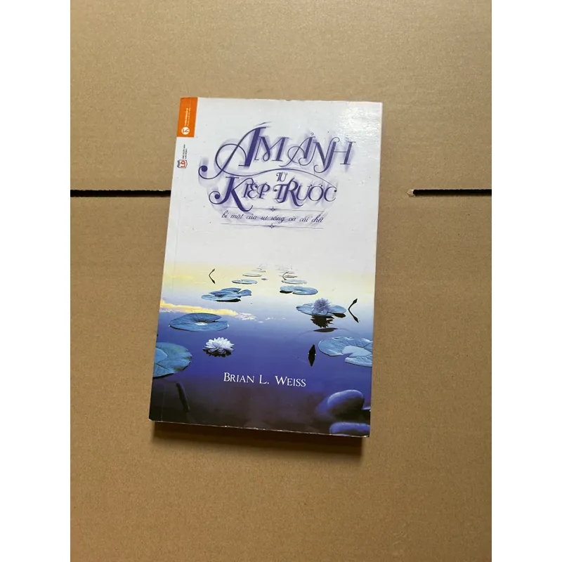 Ám ảnh từ kiếp trước 734186