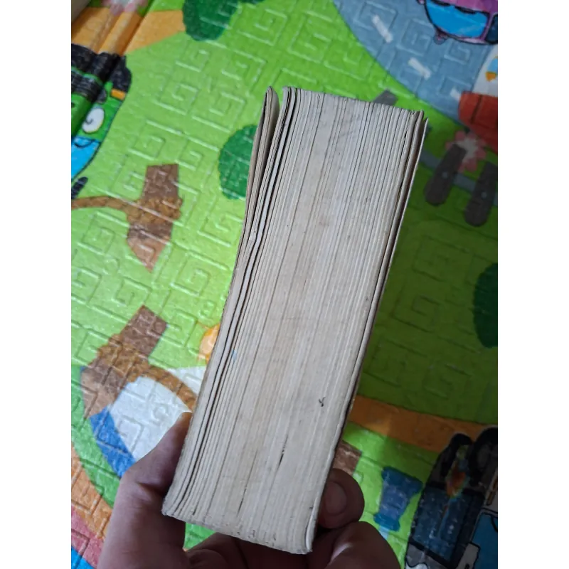 Từ Điển Trung - Việt 995067