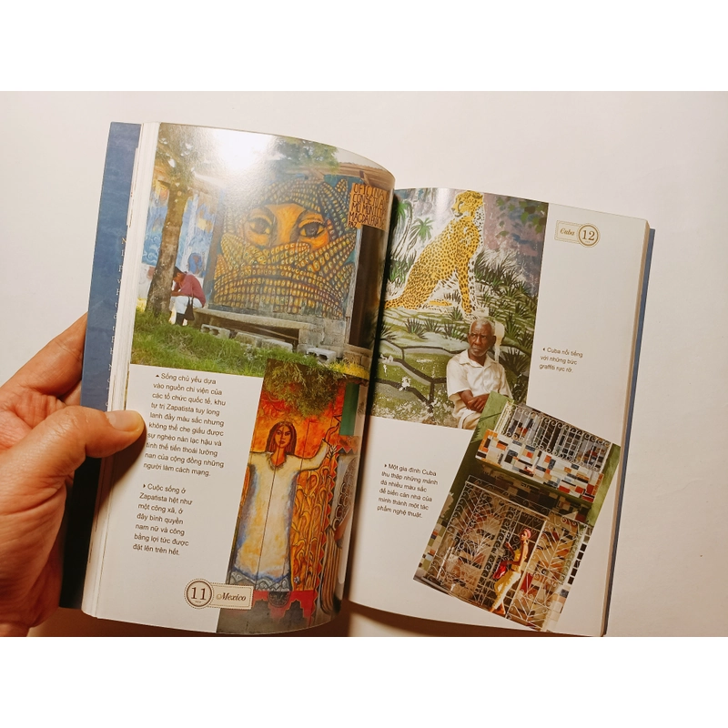 Tôi Là Một Con Lừa - Nguyễn Phương Mai 

 455846