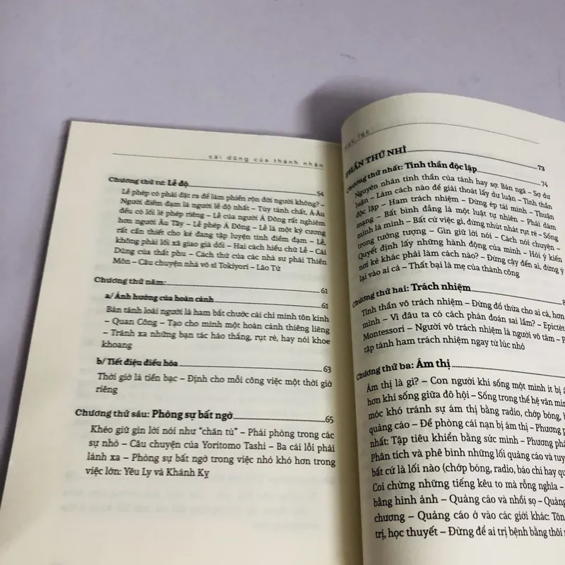 CÁI DŨNG CỦA THÁNH NHÂN  603459