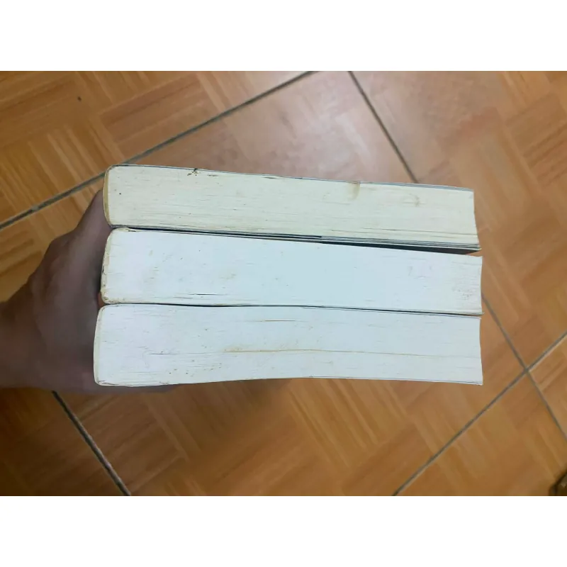 Pháp Y Tần Minh: Người Sống Sót + Kẻ Nhìn Trộm + Kẻ Dọn Rác 738987