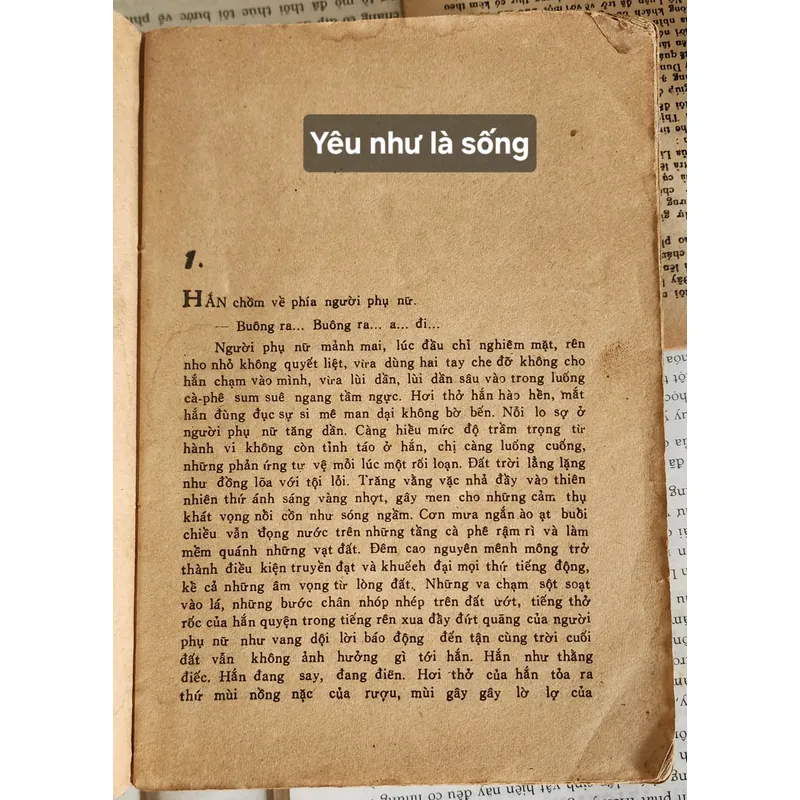 Tiểu thuyết YÊU NHƯ LÀ SỐNG của nhà văn Nguyễn Mạnh Tuấn 703946