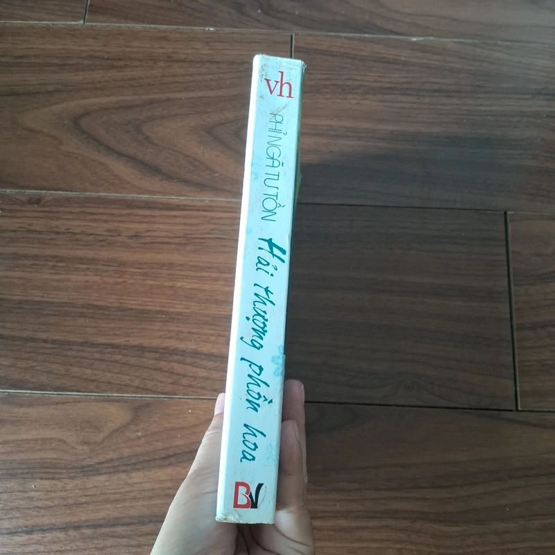 Hải thượng phồn hoa 508666