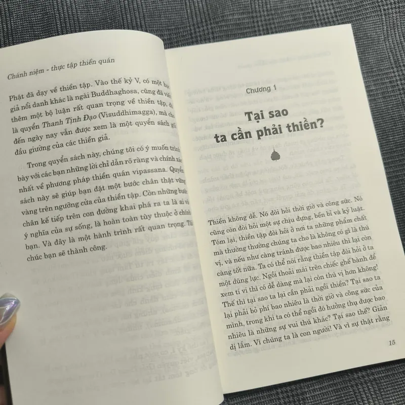 Chánh niệm - Thực tập Thiền quán - TT. Henepola Gunaratana - Dịch giả Nguyễn Duy Nhiên 606547