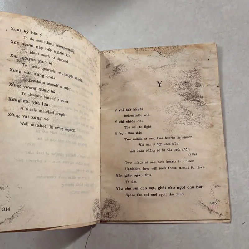 Từ điển thành ngữ - tục ngữ Việt Anh tường giải 721067