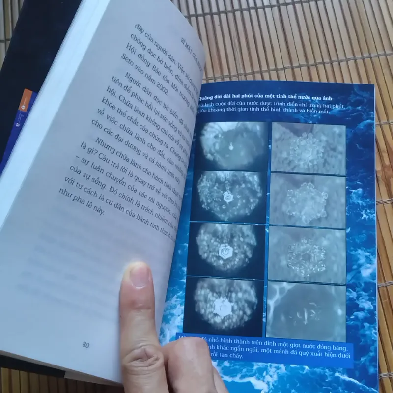 Bí mật của nước - Masaru Emoto 558924