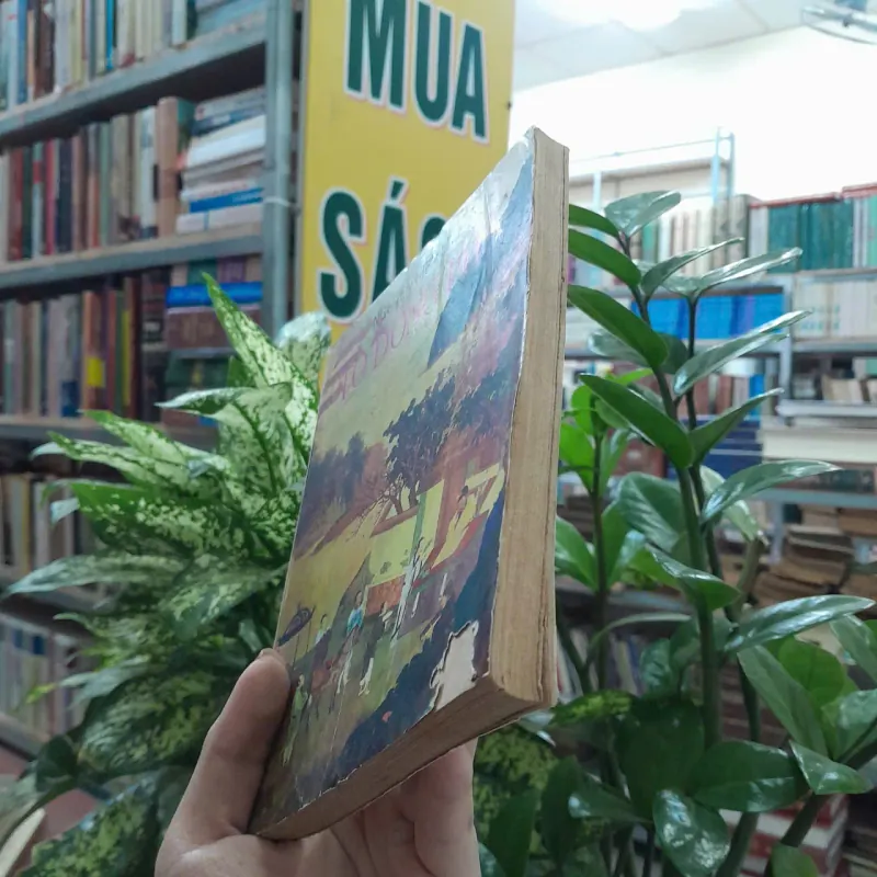 TÔ ĐÔNG PHA - NGUYỄN HIẾN LÊ 352593