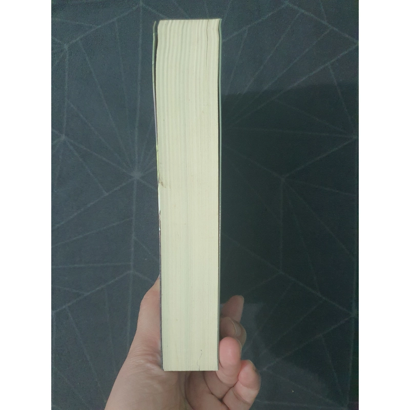 "Những chàng trai nhỏ" - Louisa May Alcott 492913