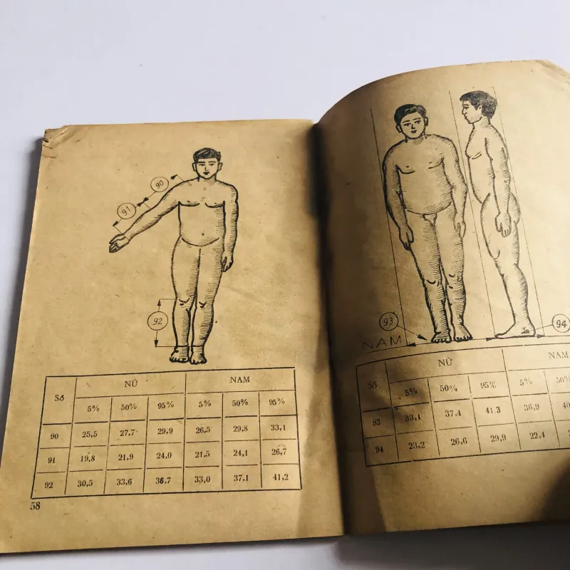 NHÂN TRẮC ECGONOMI 758088