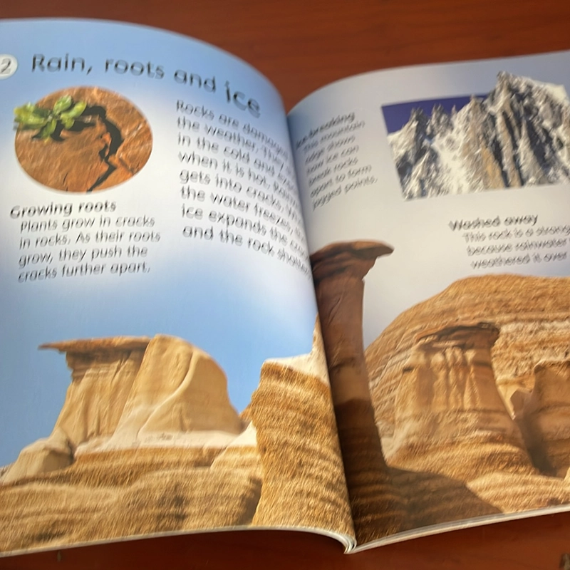 PICTURE BOOK Rocks and fossils 536674