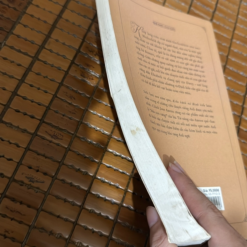 Kiêu hãnh và định kiến - Jane Austen 497351