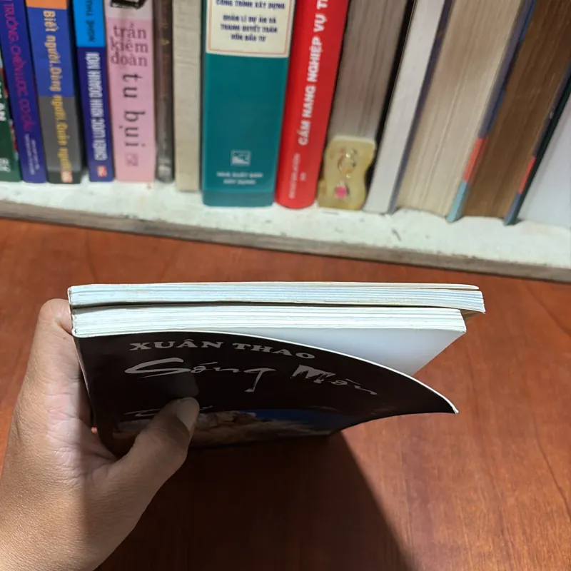 [Thủ Bút] - II Thơ: Ngập Ngừng - Sống Mòn - Xuân Thao - 2010, 2015 791496