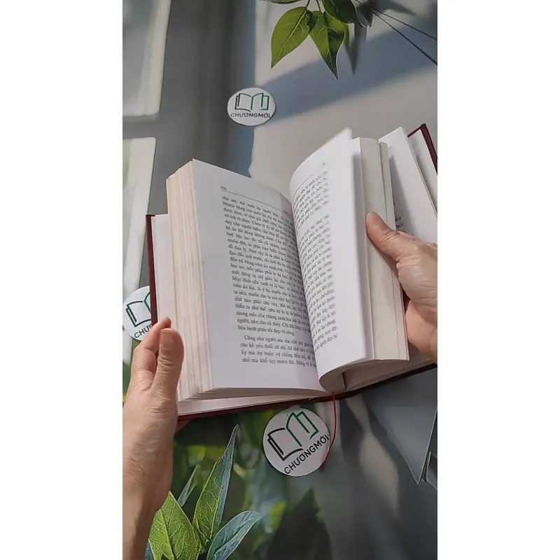 Chơn Lý 1 - Tổ Sư Minh Đăng Quang 990053