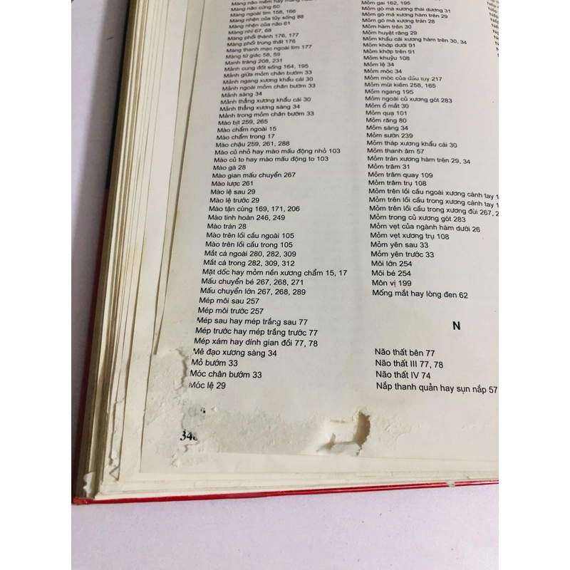  ATLAS GIẢI PHẪU NGƯỜI 520066