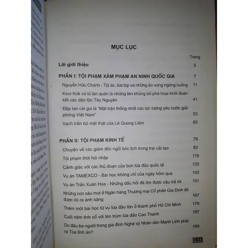 Tội phạm kinh tế thời hội nhập 598541