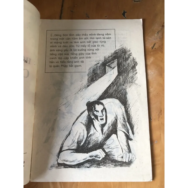 Hổ tướng cao nguyên 973621