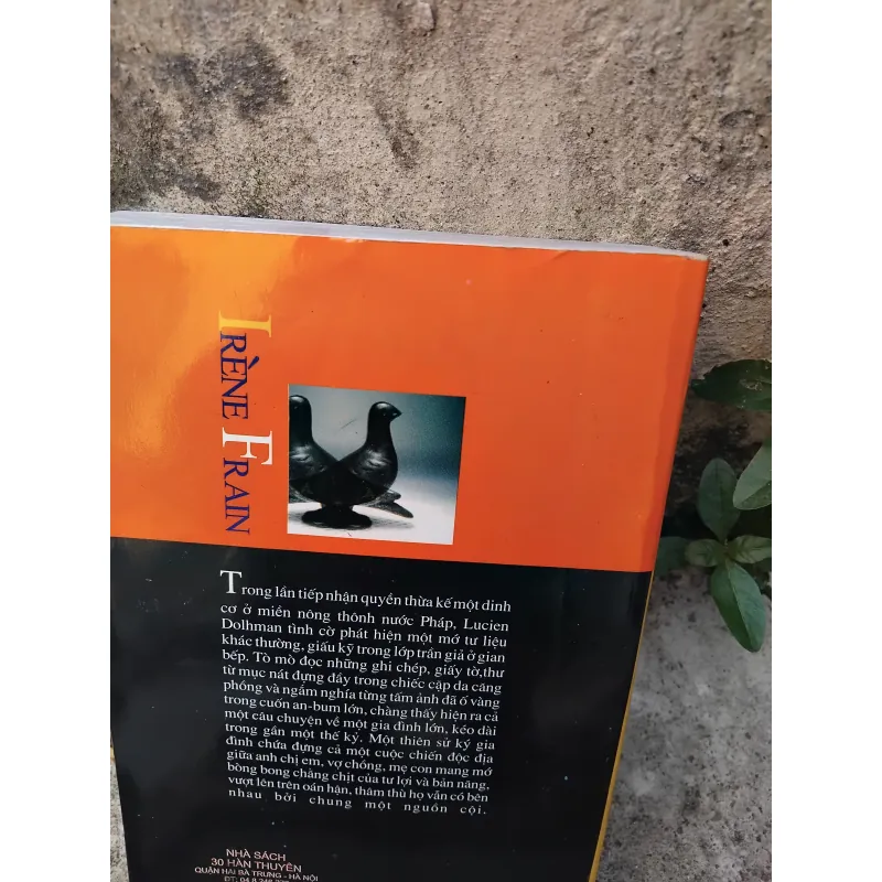 Bí mật gia đình tiểu thuyết của Irène Frain  1005704