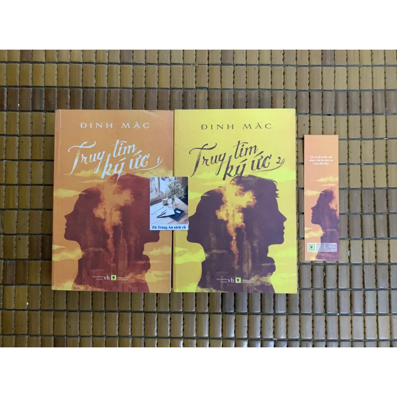 Truy tìm ký ức - Đinh Mặc  960467