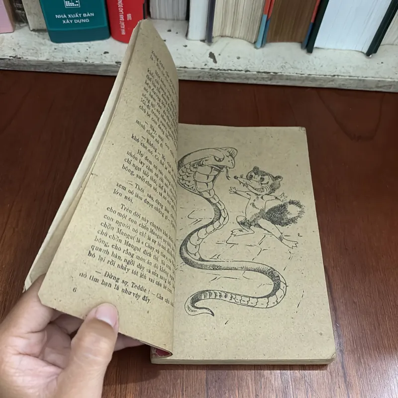 II Sách Xưa: Người Bạn Mang Bộ Lông Chim - Nhiều Tác Giả - 1986 605997