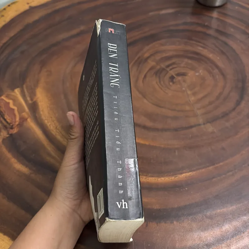 II Tiểu Thuyết: Đen Trắng - Triêu Tiểu Thành - Thuý Ngọc (Dịch) - 2016 976242