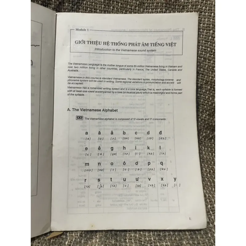  TIÊNG VIỆT VIETNAMESE FOR BEGINNERS , tiếng Việt cho người nước ngoài  1008544