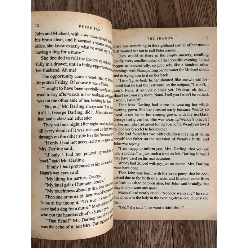 Peter Pan - J. M. Barrie 787660