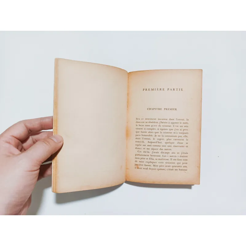 Bonjour Tristesse ( Buồn ơi chào mi) - Francoise Sagan 779976