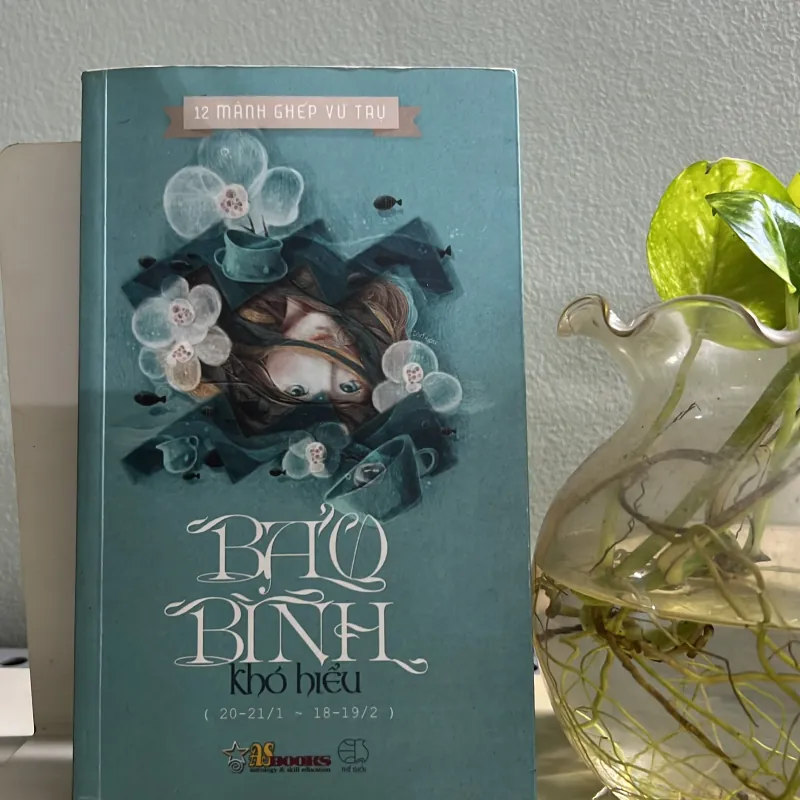 Bảo Bình khó hiểu 762815