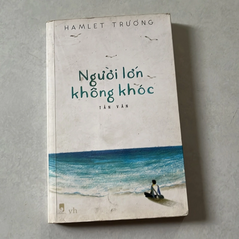 Người lớn không khóc - Hamlet Trương 506778