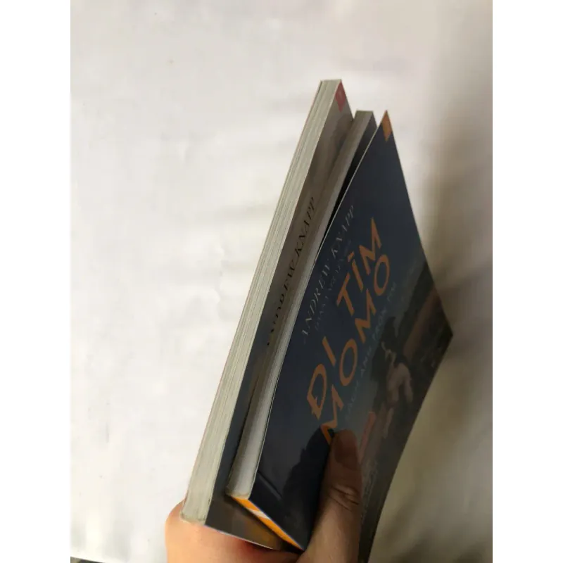 Combo Đi Tìm Momo - Tập Sách Ảnh Trốn Tìm: Tập 1 Và 2 (Bộ 2 Tập) | Andrew Knapp 758392