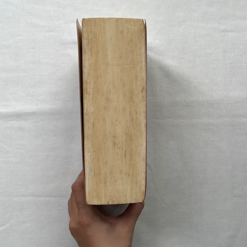 Varney the Vampire - James Malcolm Rymer  992600