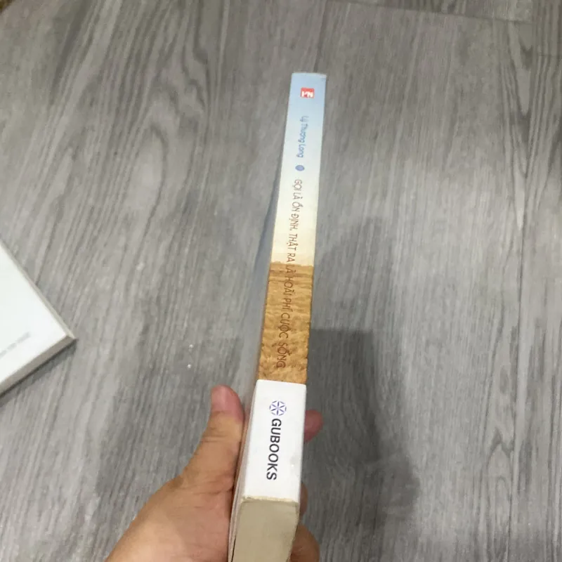 Gọi là ổn định, thật ra mad hoài phí cuộc sống 1024086